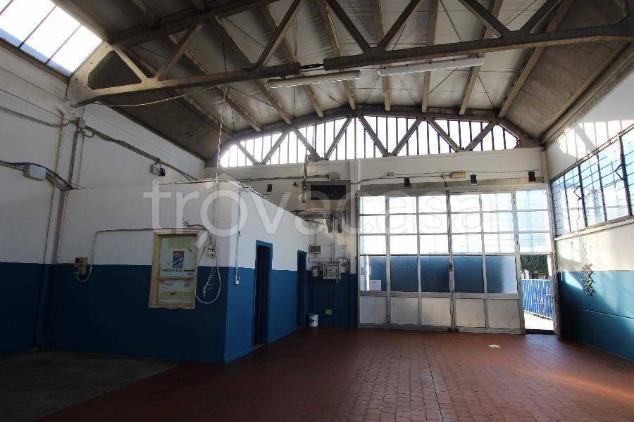 immagine annuncio 9 di 13