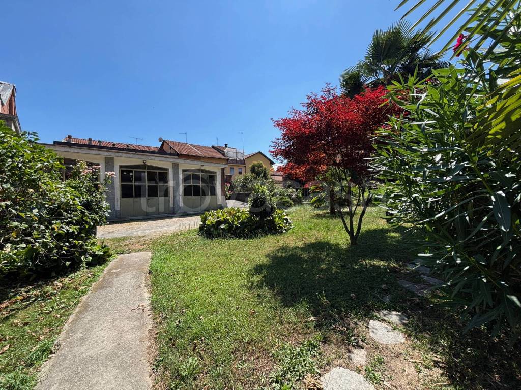 immagine annuncio 3 di 15