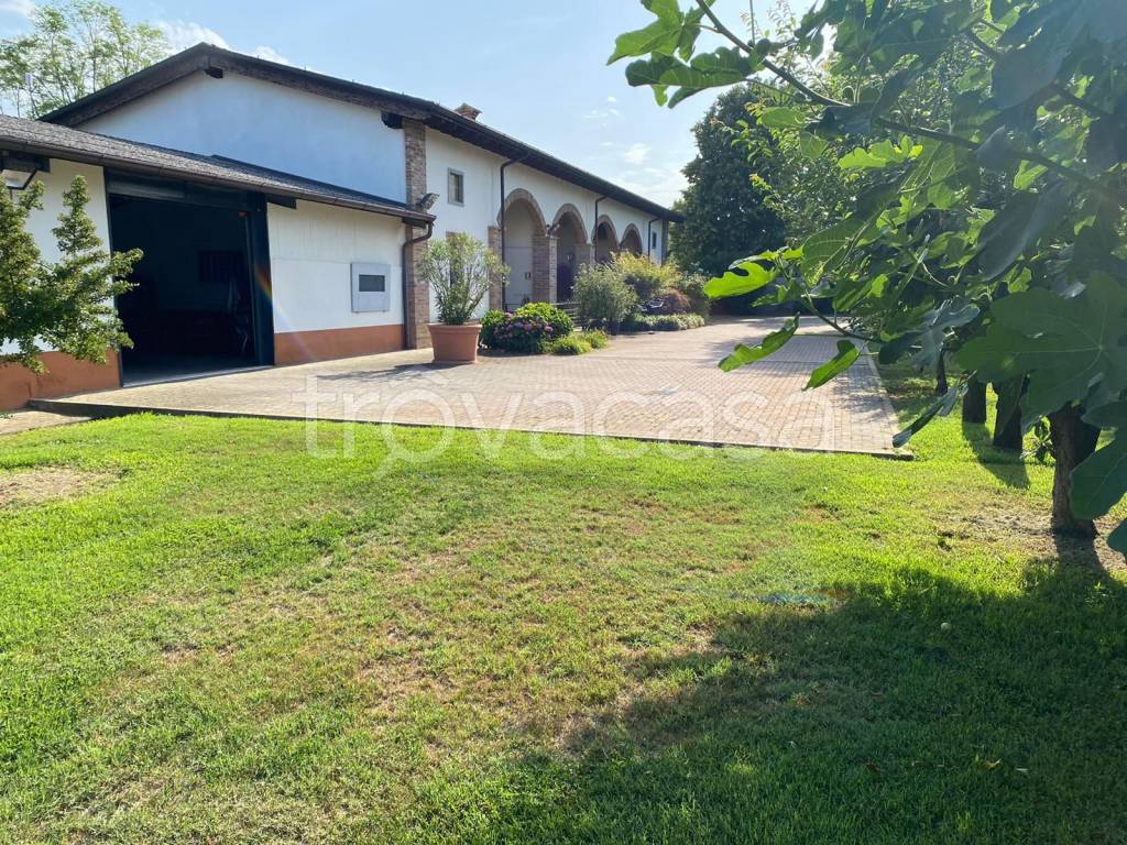 immagine annuncio 10 di 15