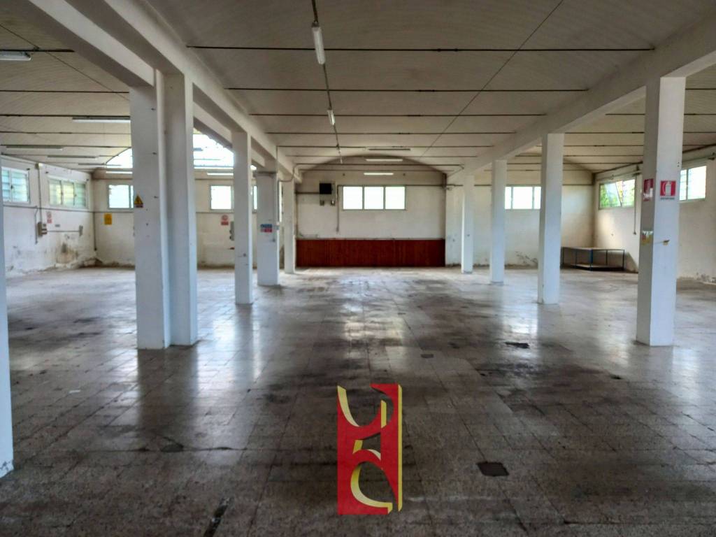 immagine annuncio 2 di 7