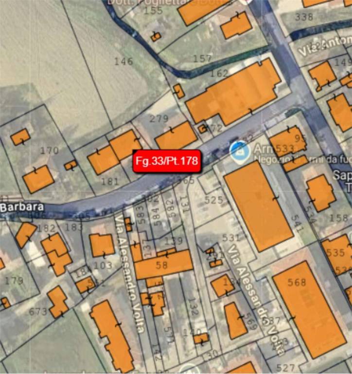 immagine annuncio 6 di 14