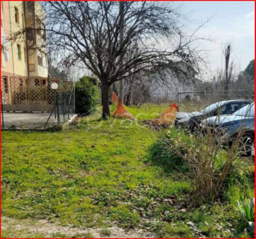 immagine annuncio 4 di 11