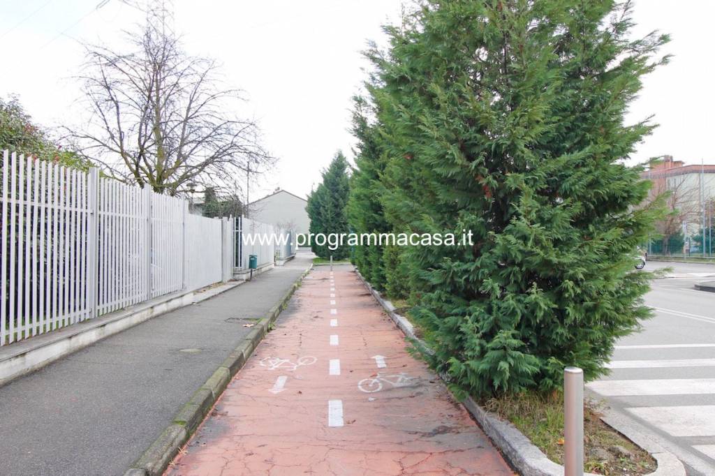 immagine annuncio 14 di 15