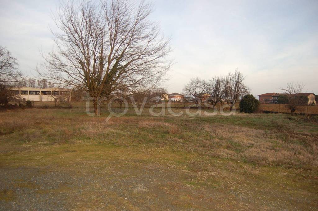 immagine annuncio 6 di 7