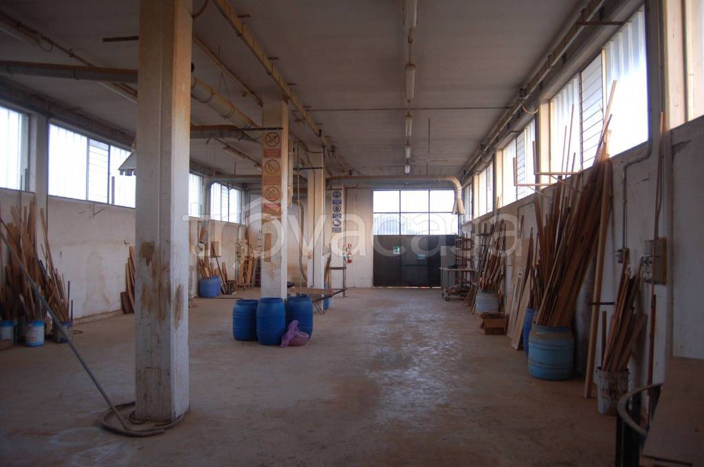 immagine annuncio 2 di 7