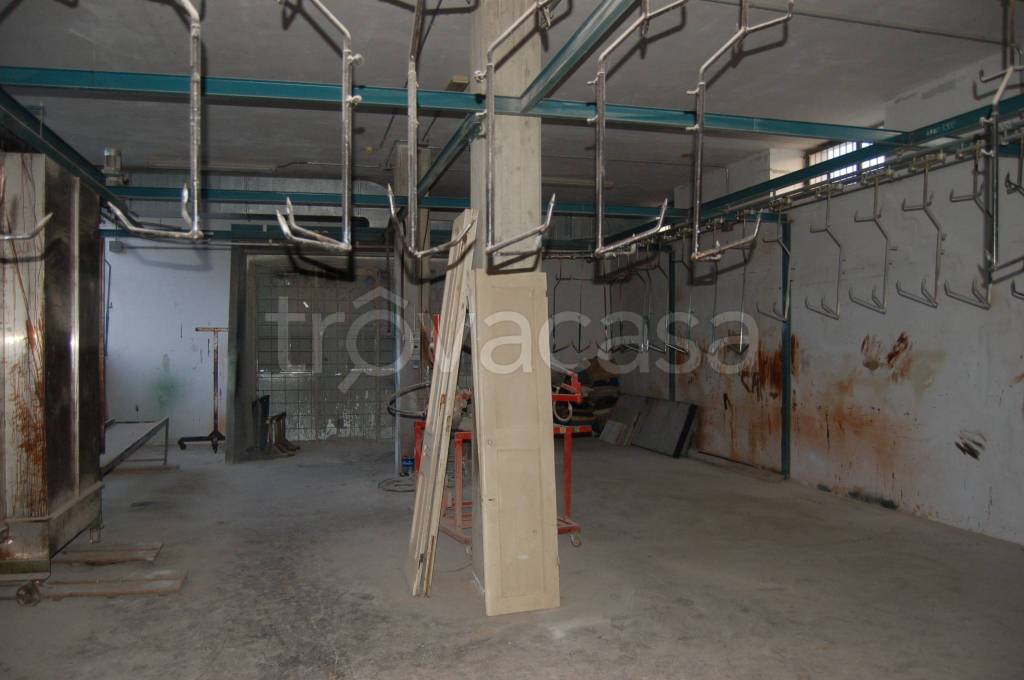 immagine annuncio 3 di 7