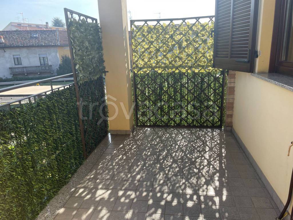 immagine annuncio 5 di 12