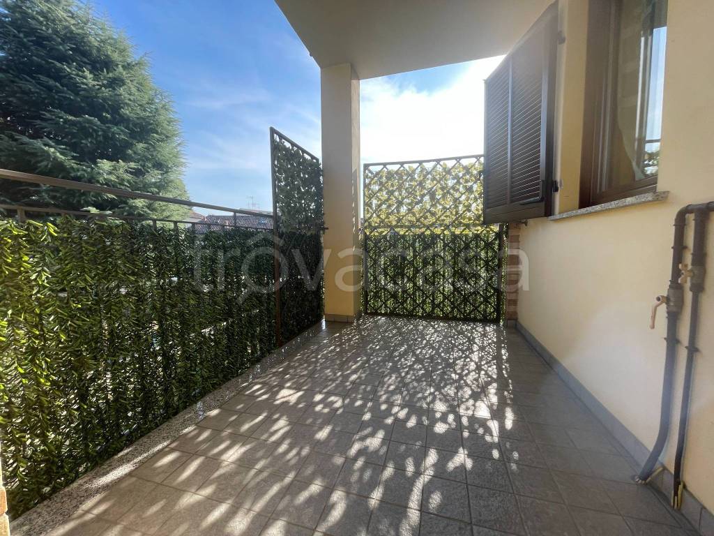 immagine annuncio 6 di 12