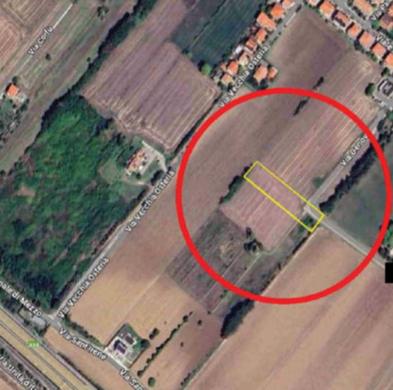 immagine annuncio 1 di 11