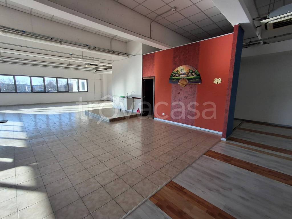 immagine annuncio 6 di 12