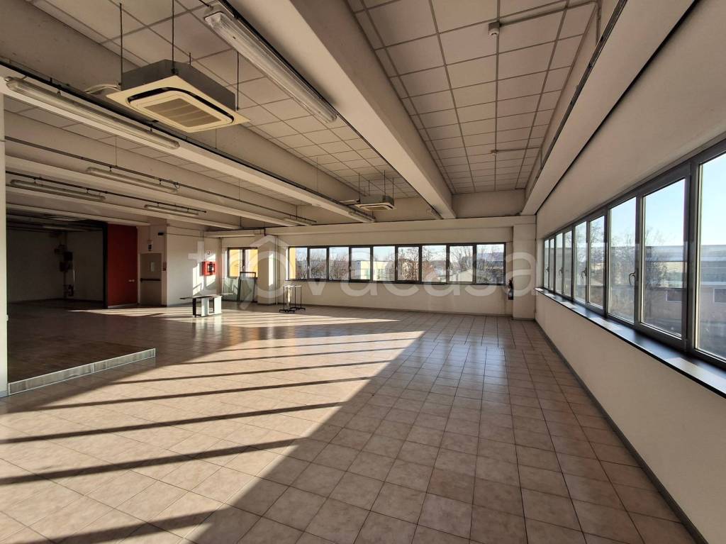 immagine annuncio 10 di 12