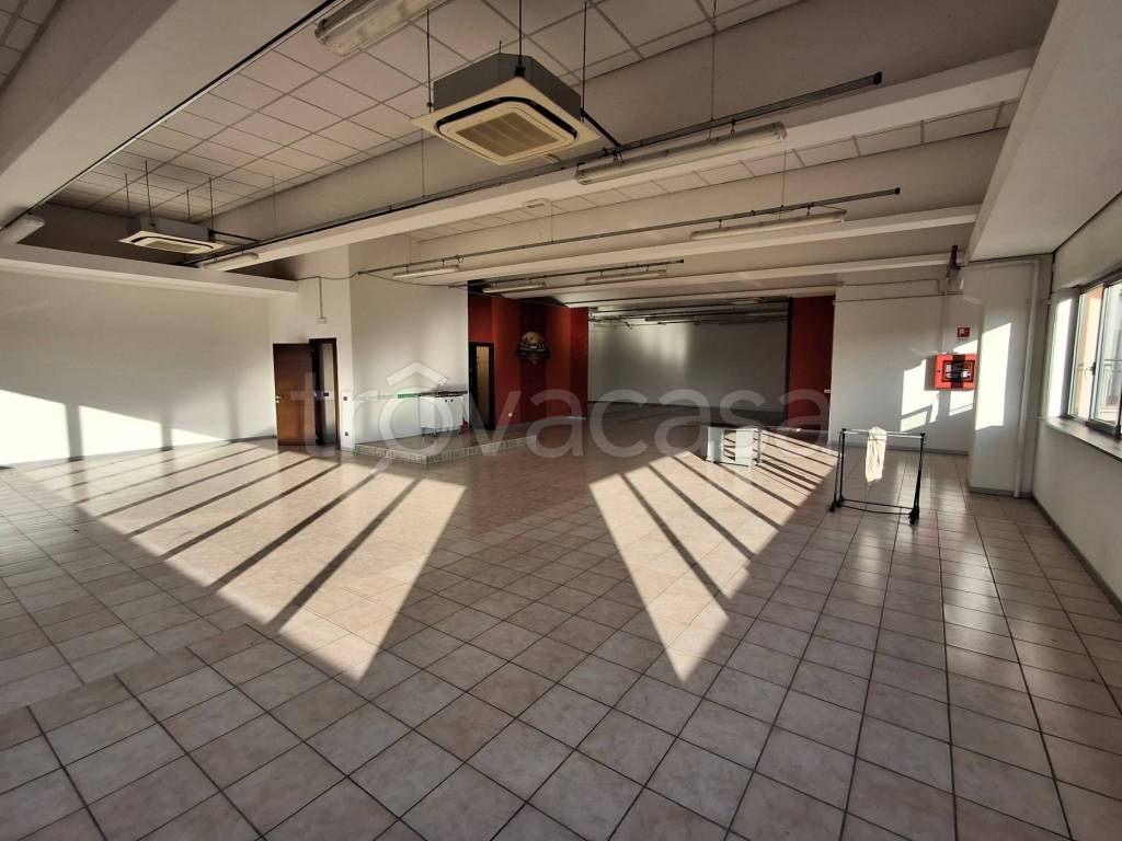 immagine annuncio 11 di 12