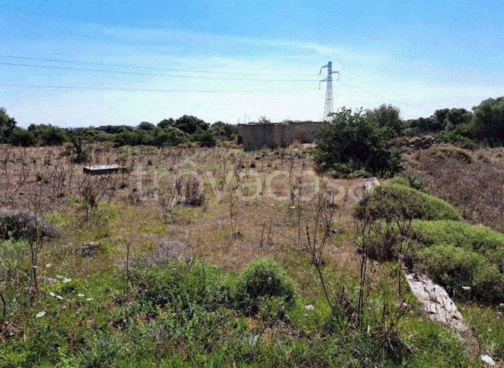 immagine annuncio 3 di 11