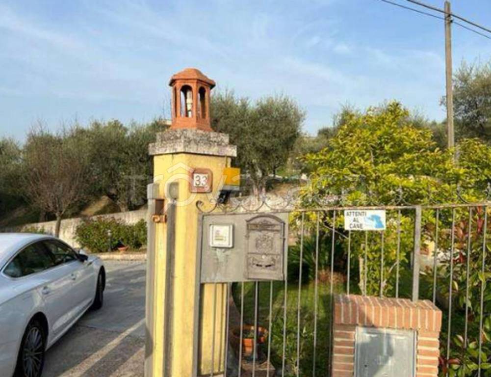 immagine annuncio 4 di 11