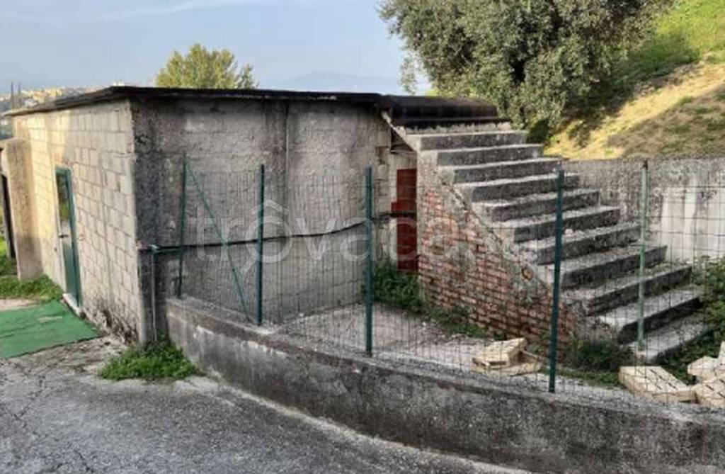 immagine annuncio 6 di 11