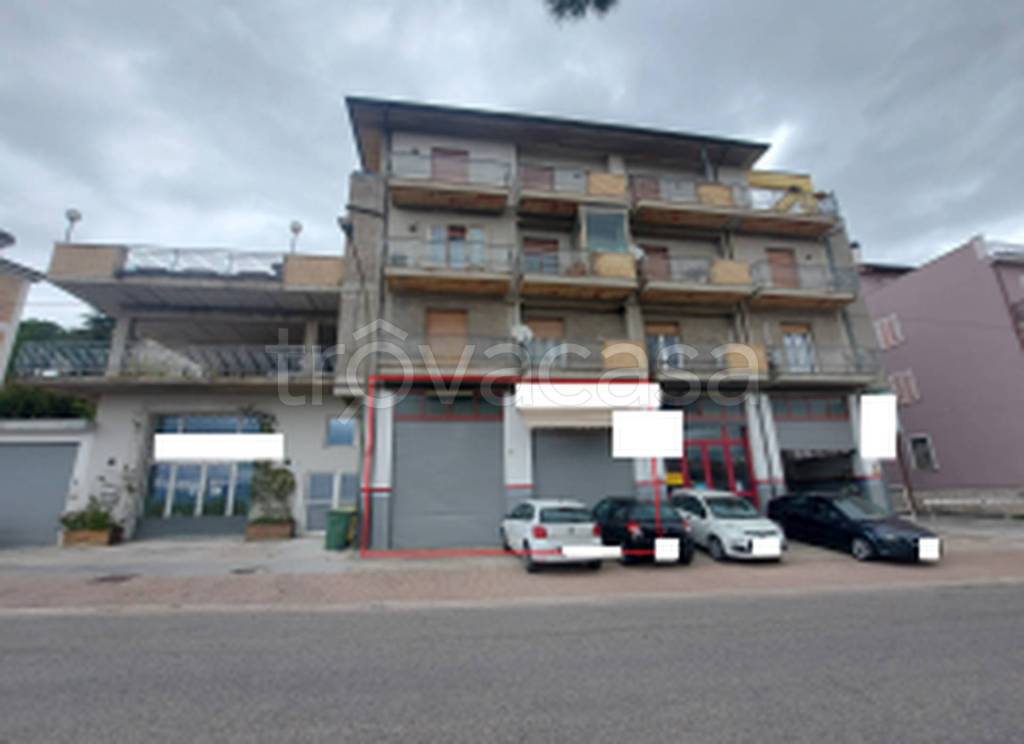 immagine annuncio 9 di 11