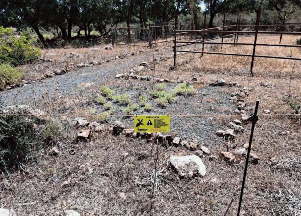 immagine annuncio 4 di 11