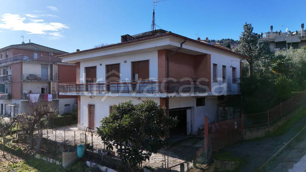 immagine annuncio 2 di 11