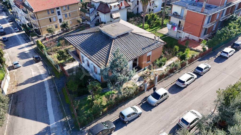 immagine annuncio 3 di 11