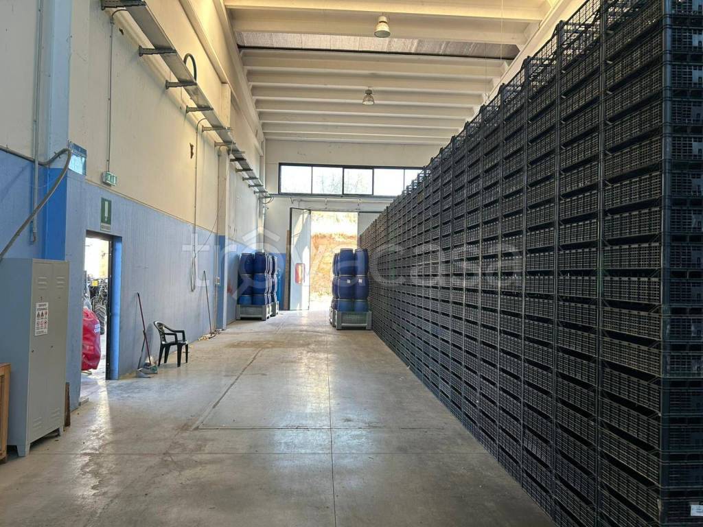 immagine annuncio 9 di 15