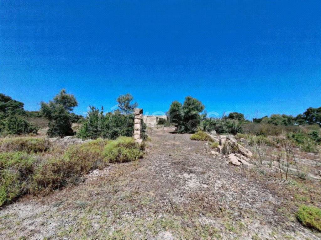 immagine annuncio 8 di 11