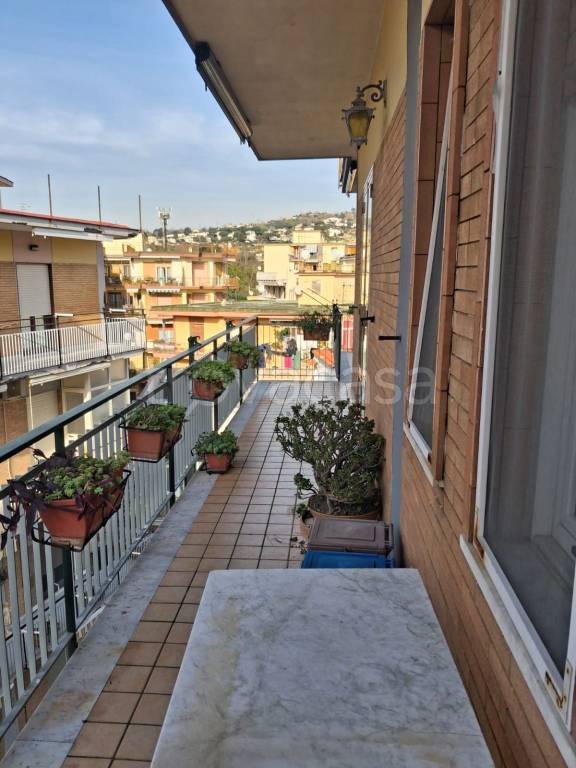 immagine annuncio 1 di 7