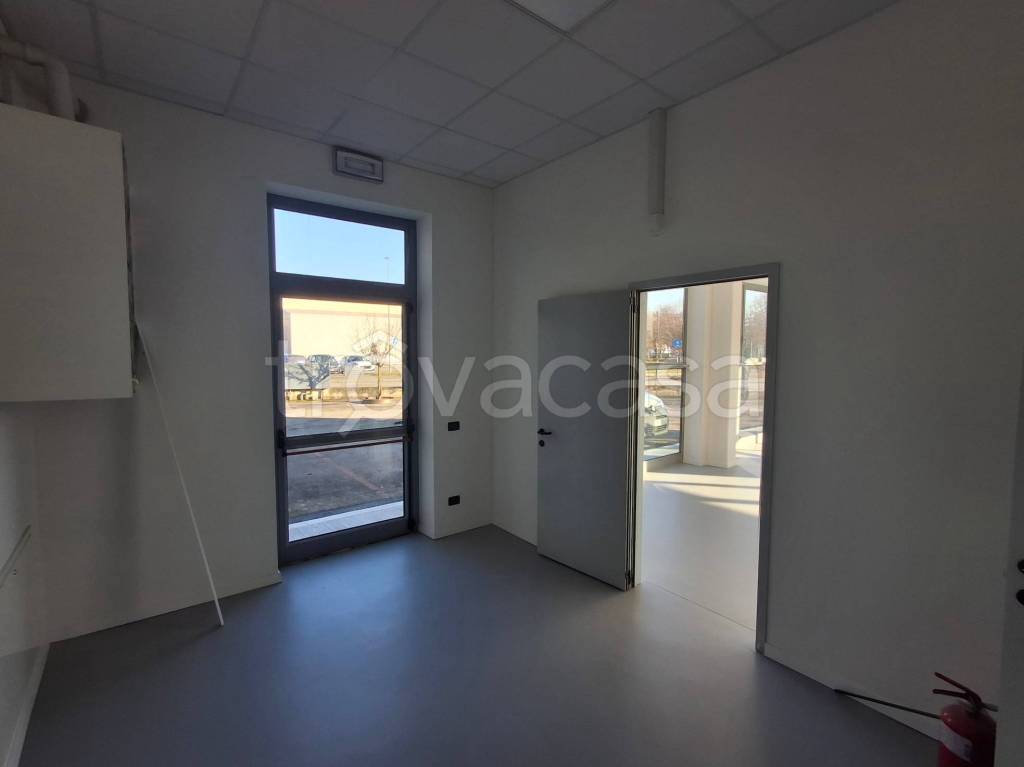 immagine annuncio 4 di 9