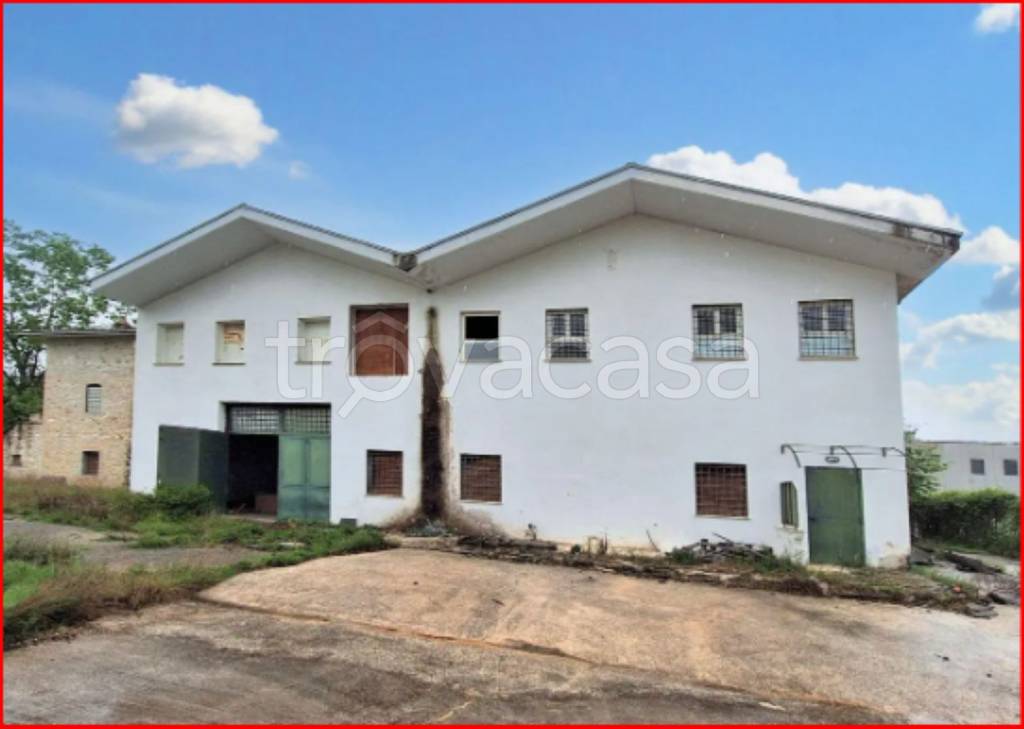 immagine annuncio 7 di 13