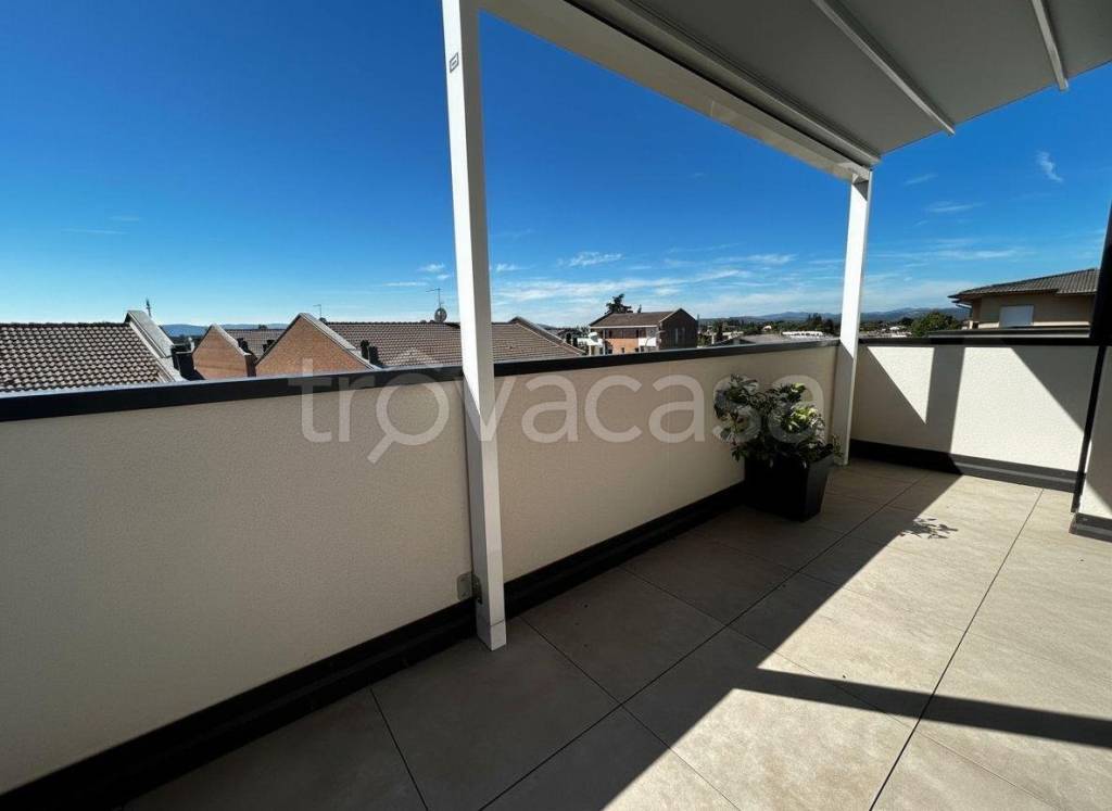 immagine annuncio 7 di 8