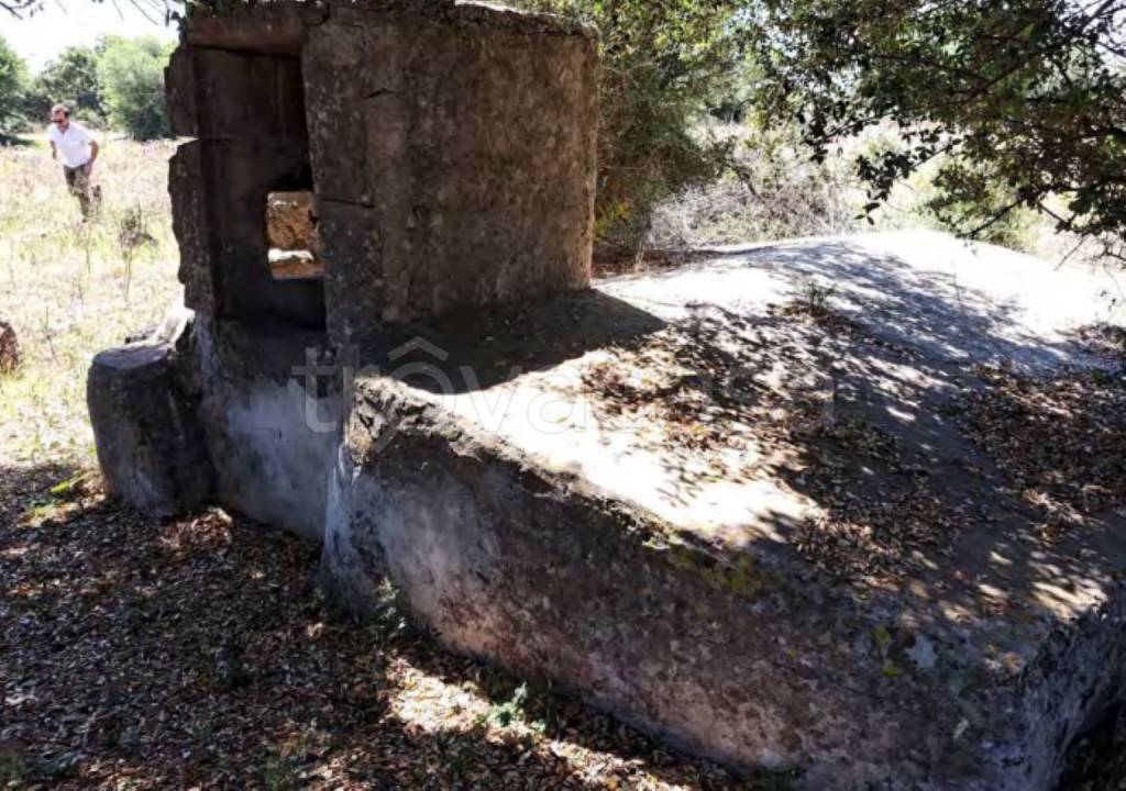 immagine annuncio 2 di 11