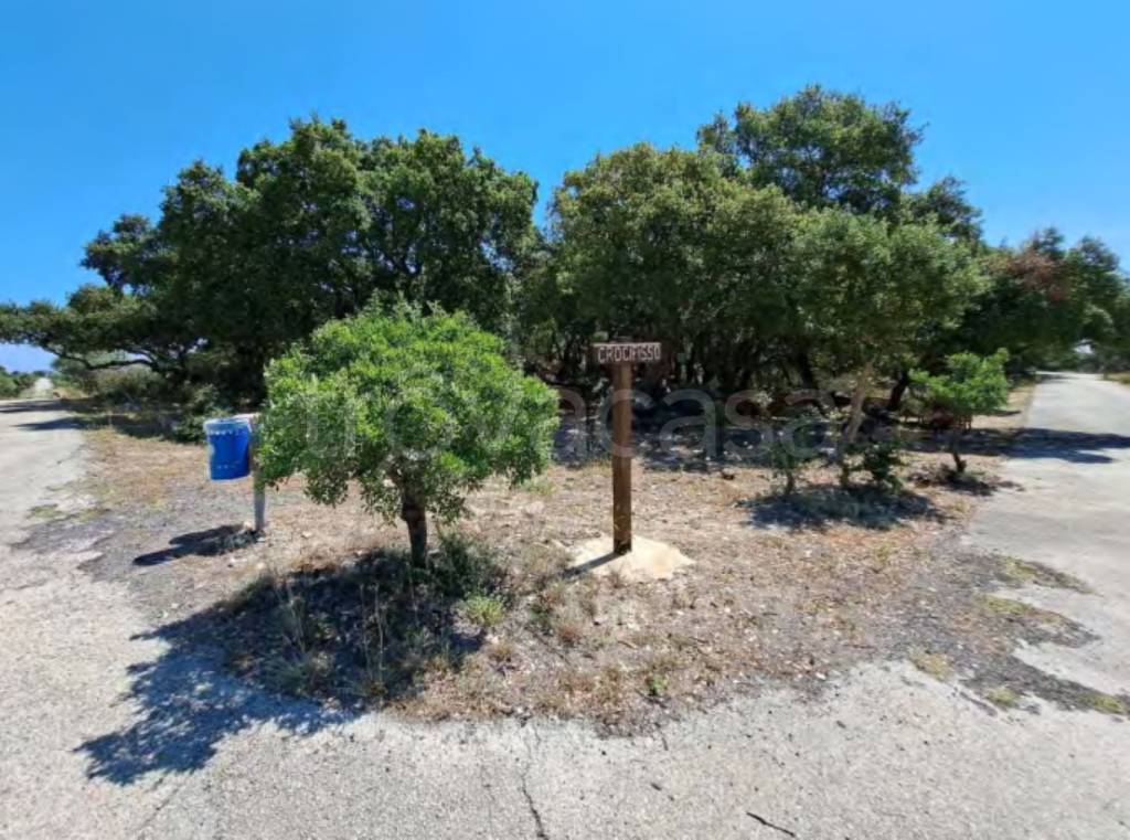 immagine annuncio 3 di 11