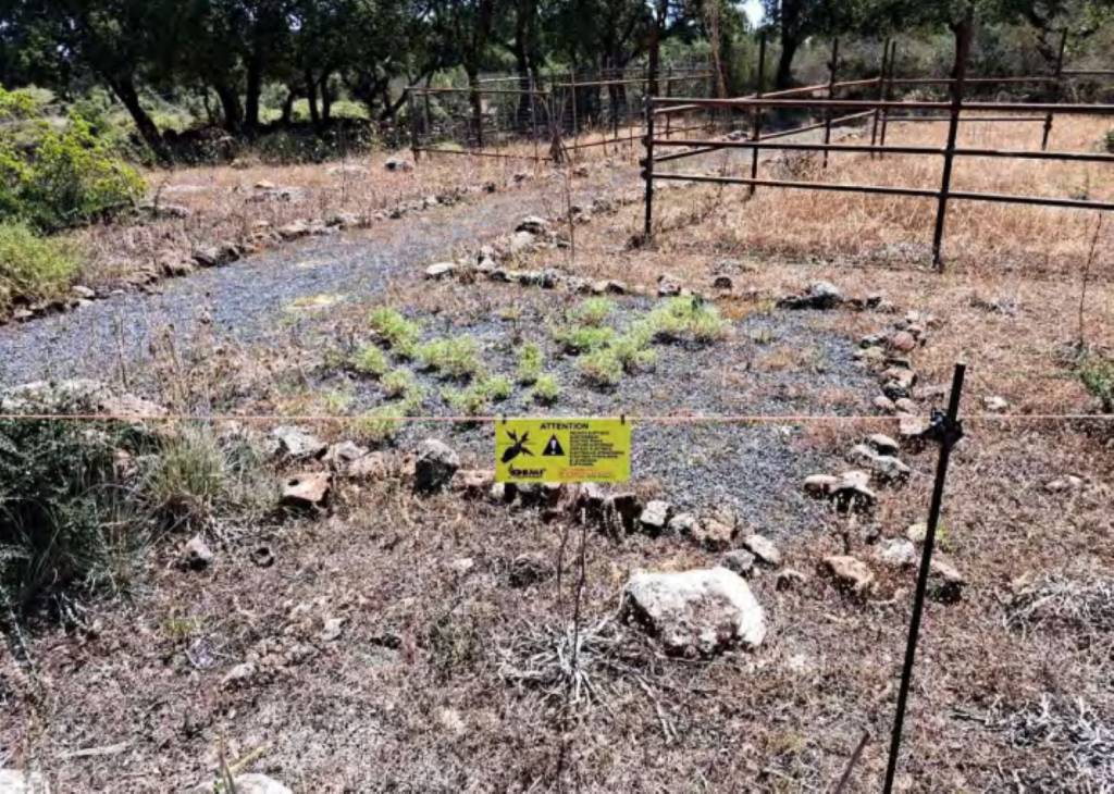 immagine annuncio 5 di 11