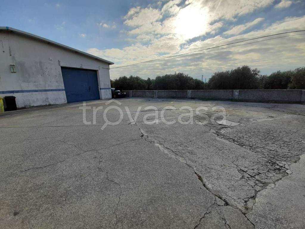 immagine annuncio 1 di 8