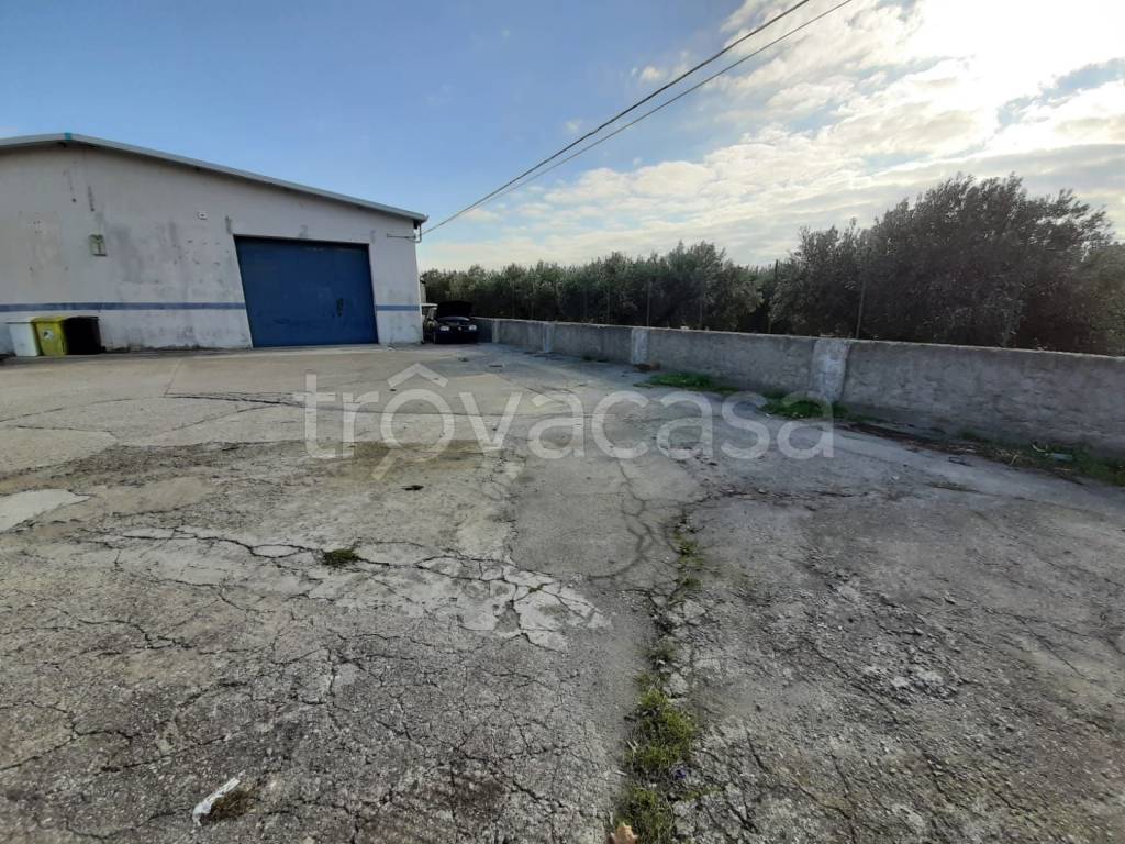 immagine annuncio 2 di 8