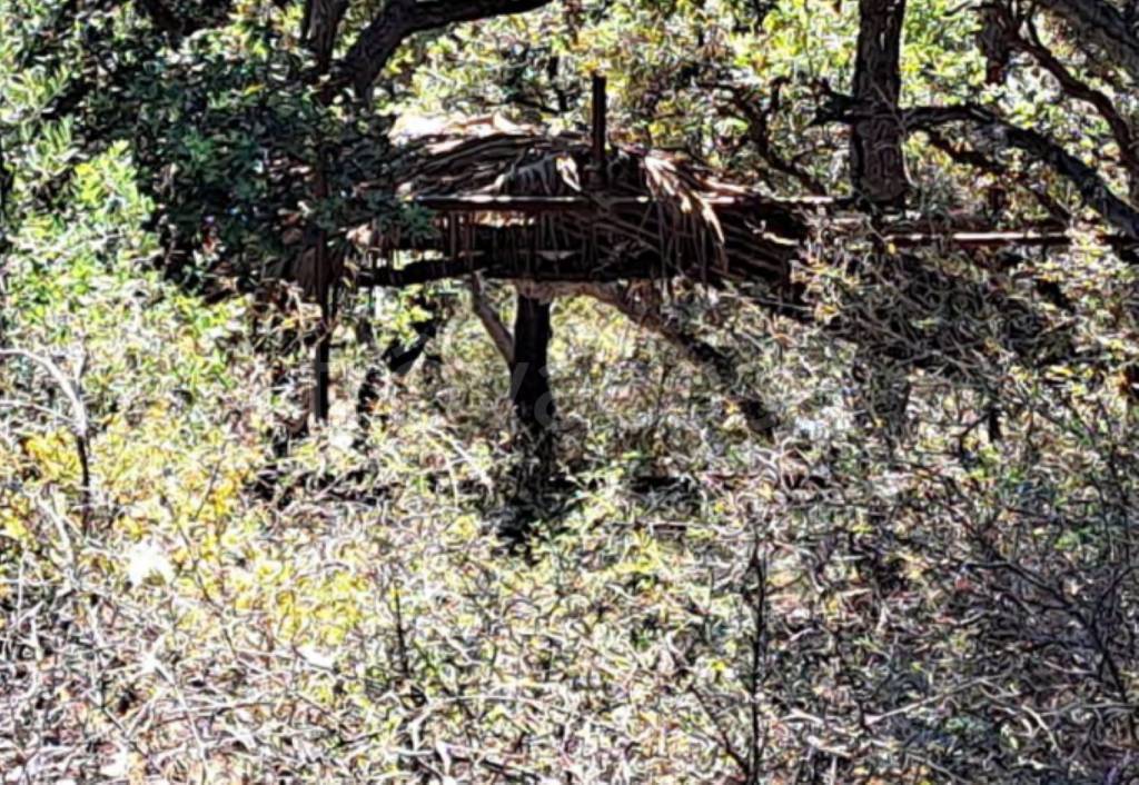 immagine annuncio 6 di 11