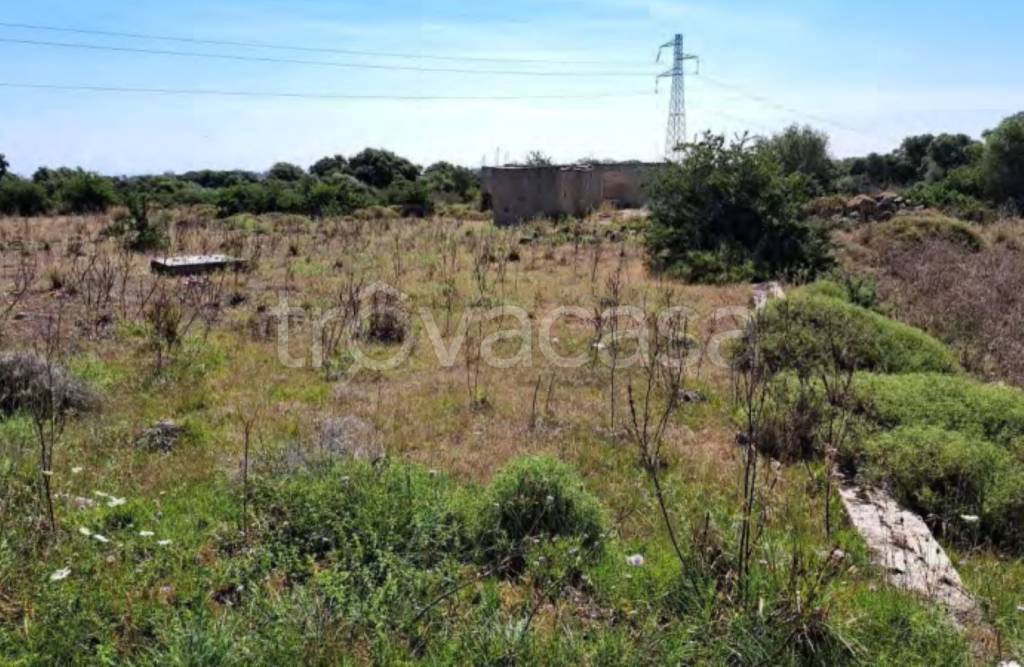 immagine annuncio 8 di 11