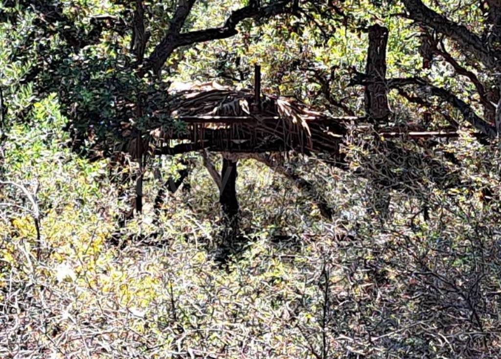 immagine annuncio 2 di 11