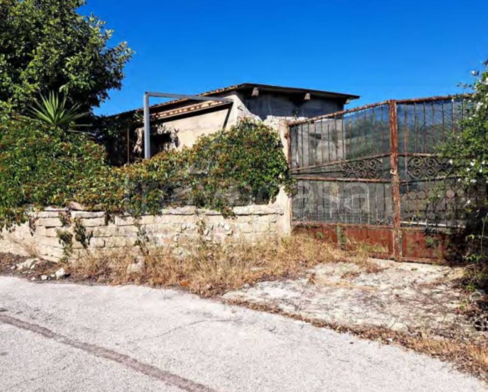 immagine annuncio 10 di 11