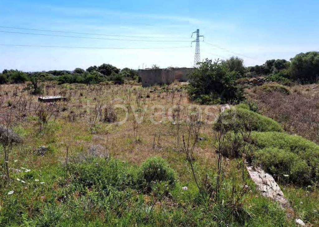 immagine annuncio 10 di 11