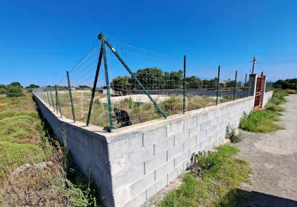 immagine annuncio 7 di 11