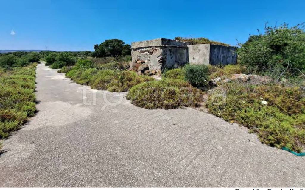 immagine annuncio 9 di 11