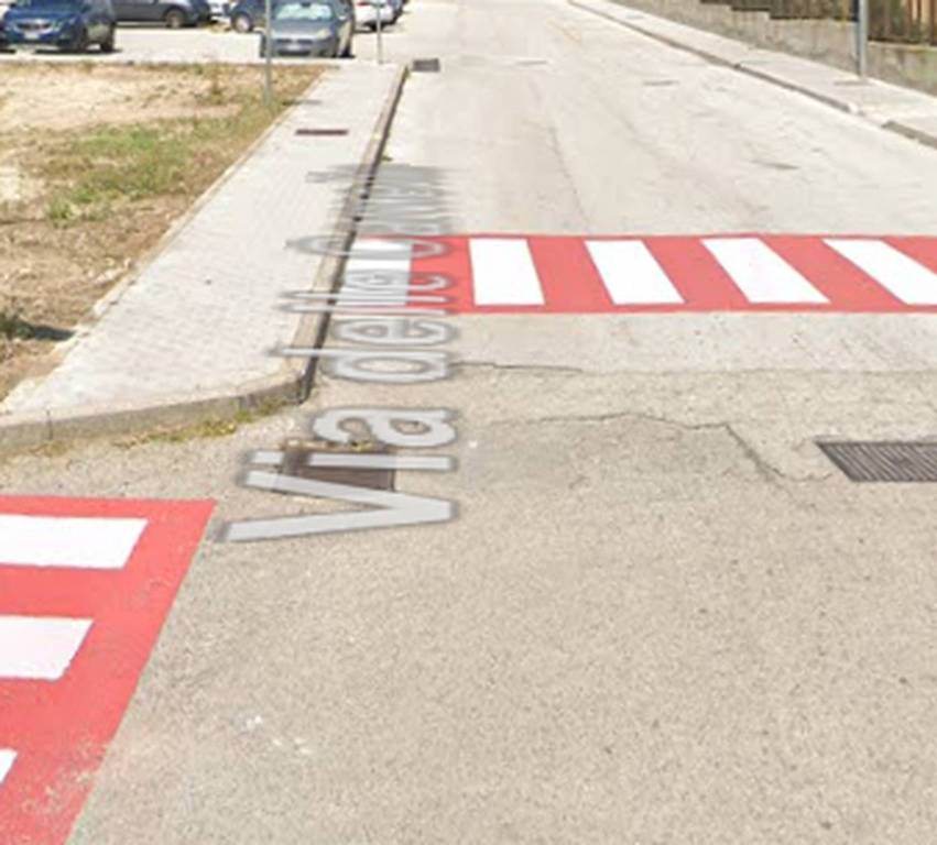 immagine annuncio 10 di 12