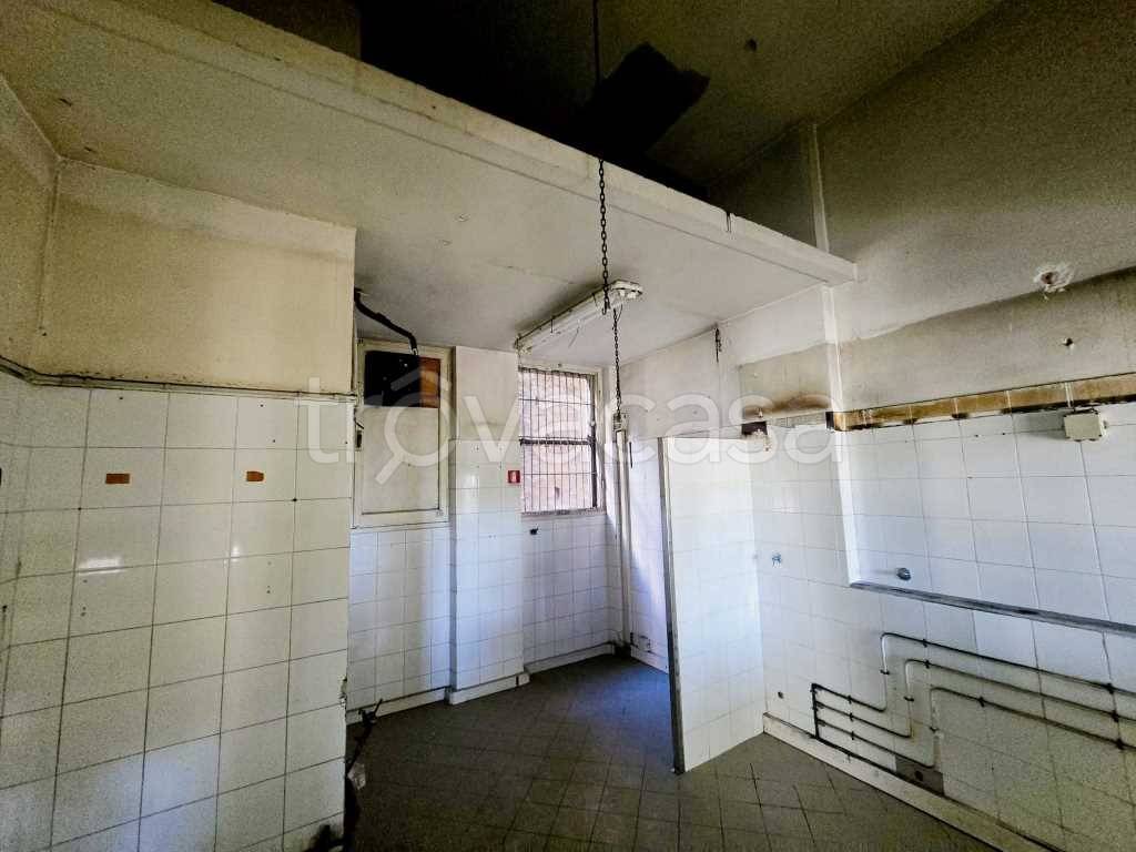 immagine annuncio 9 di 14