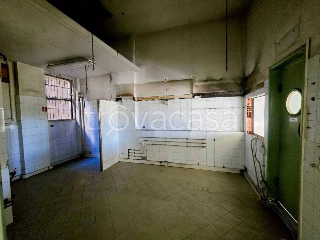 immagine annuncio 12 di 14