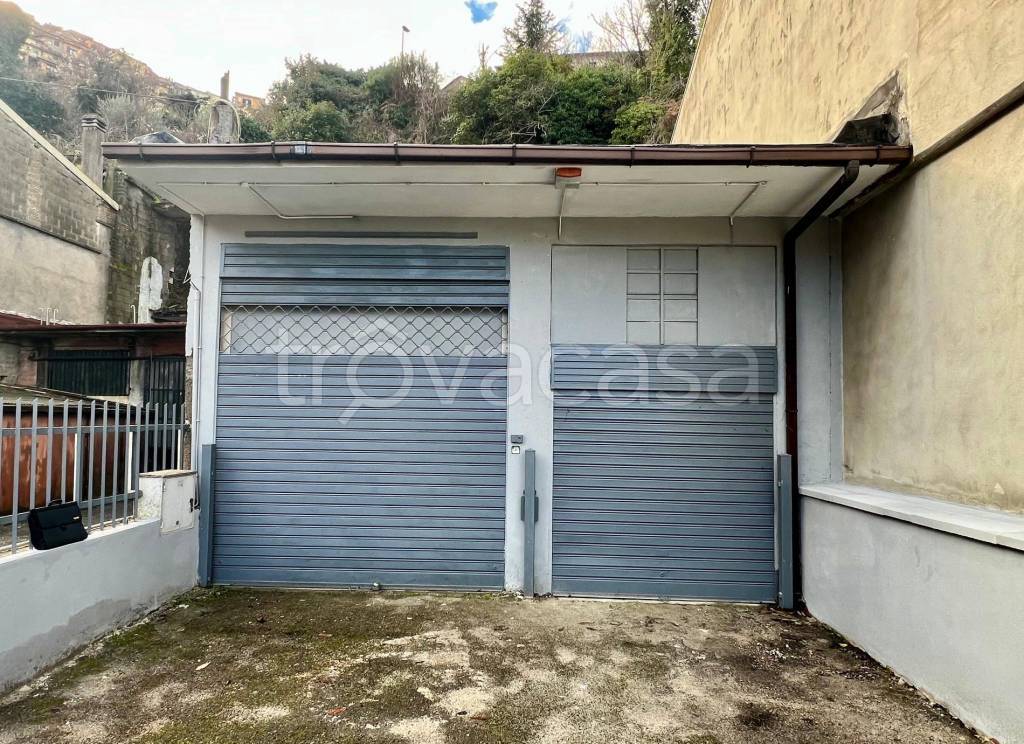 immagine annuncio 12 di 14