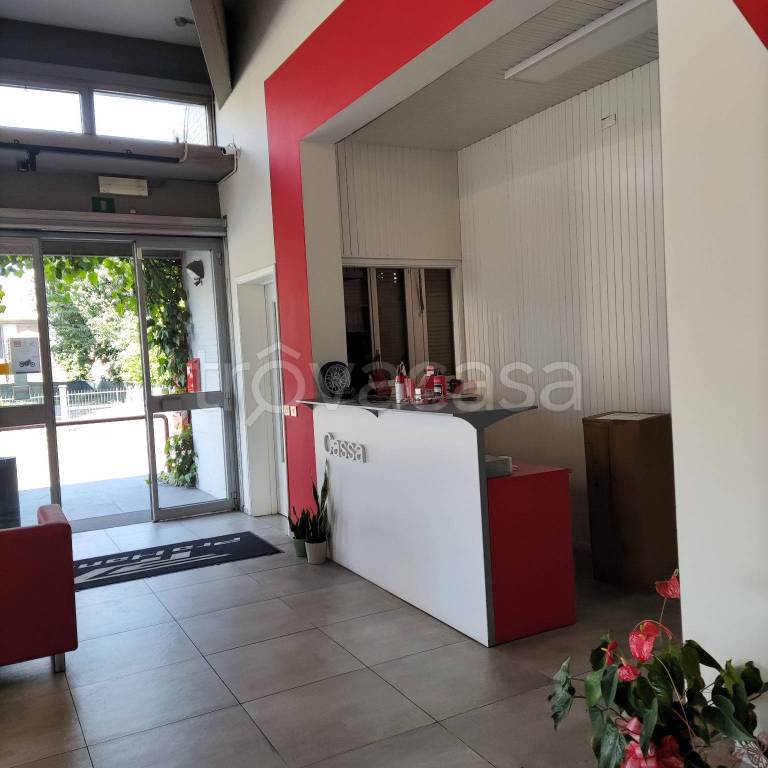 immagine annuncio 5 di 10