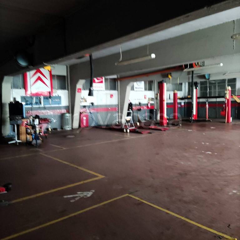 immagine annuncio 9 di 10