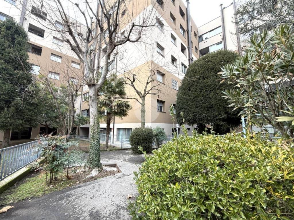 immagine annuncio 12 di 13