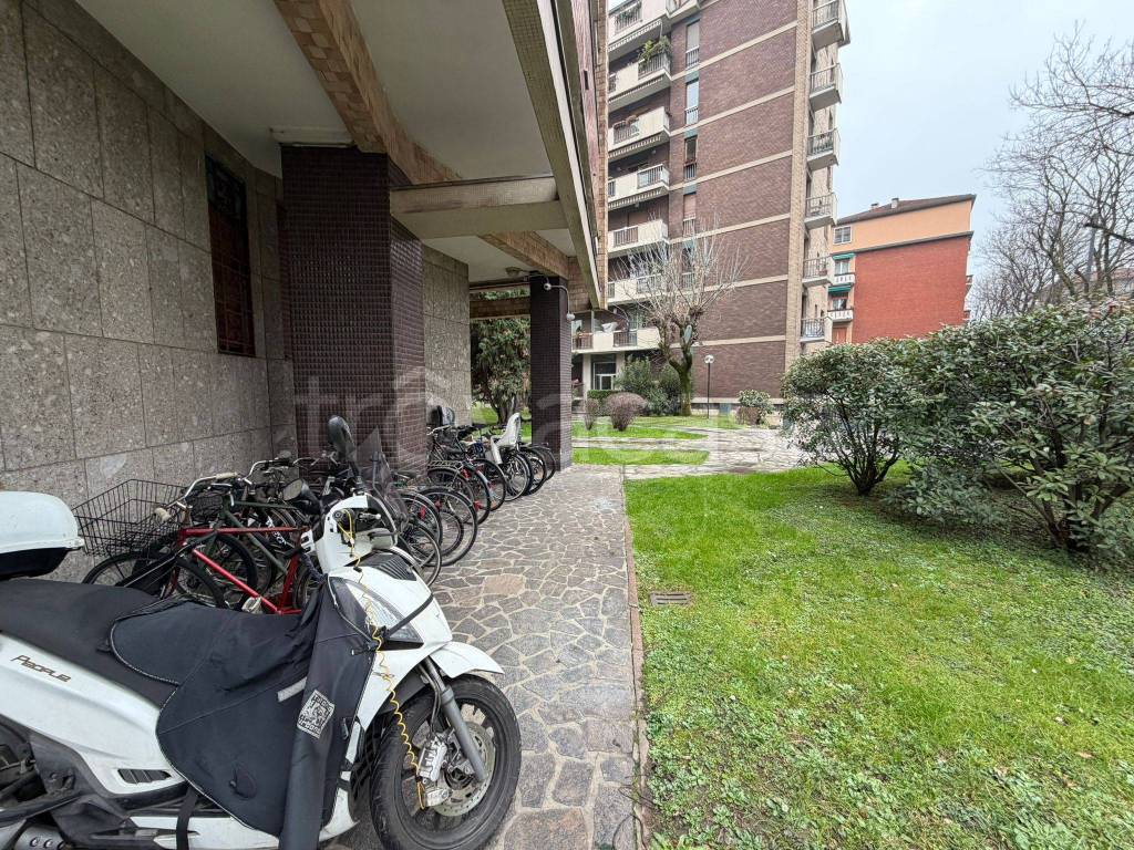 immagine annuncio 4 di 15