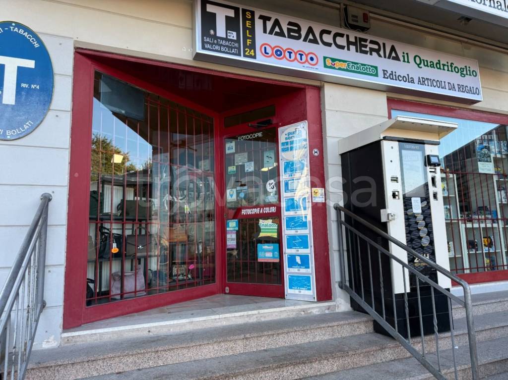 immagine annuncio 1 di 14